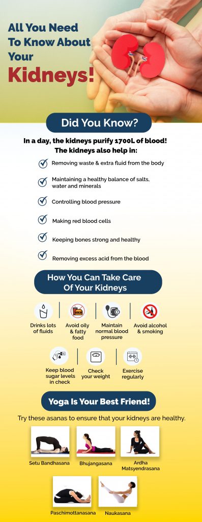 All You Need To Know About Kidney Health