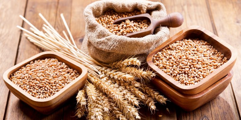 Do Grains Cause a Leaky Gut? Unpacking the Science and Solutions