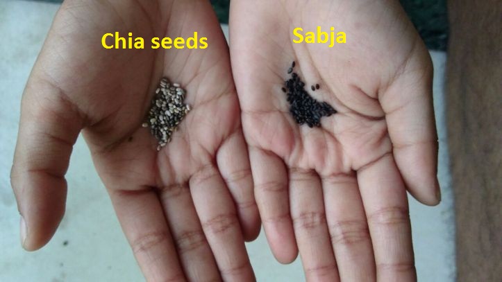 7 Differences Between Chia Seeds Sabja Seeds Goqii No tamil name for sabja. 7 differences between chia seeds