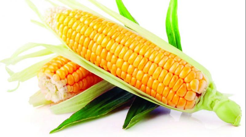 is corn a healthy snack