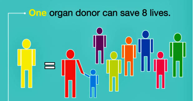 one-organ-donor-eight-lives