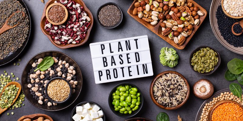 Role of Plant-Based Diets for Chronic Kidney Disease