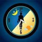 circadian rhythm