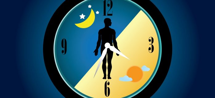 circadian rhythm