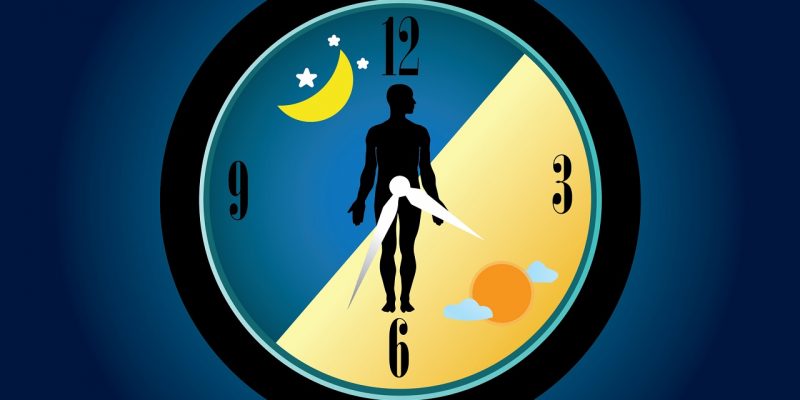 How The Circadian Rhythm Affects Your Health