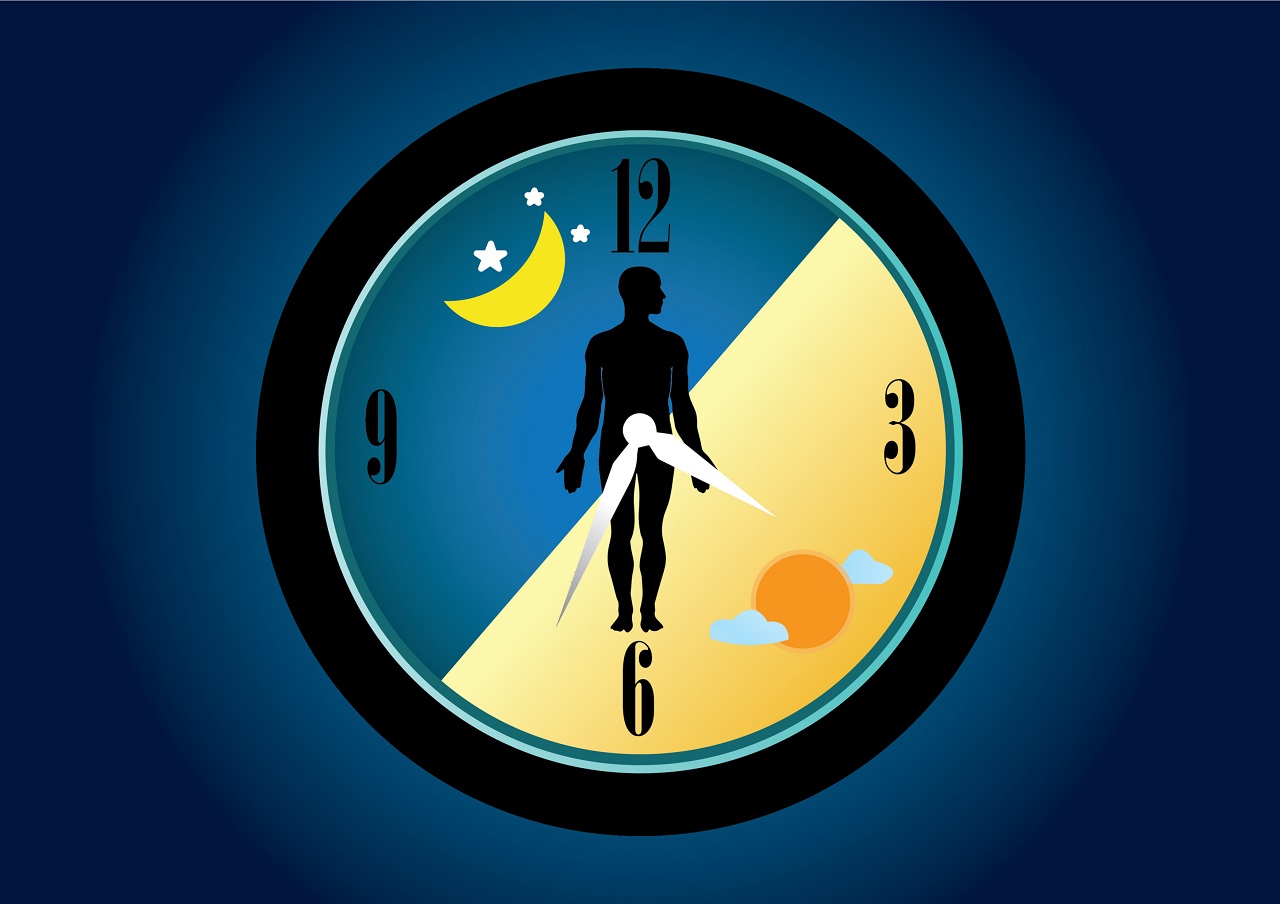 how-the-circadian-rhythm-affects-your-health-goqii