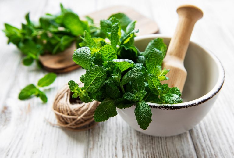 5 Wonder Herbs To Help You Battle Diabetes Naturally - GOQii