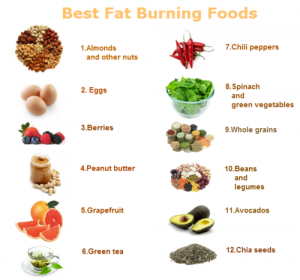 Fat Burning Foods - GOQii